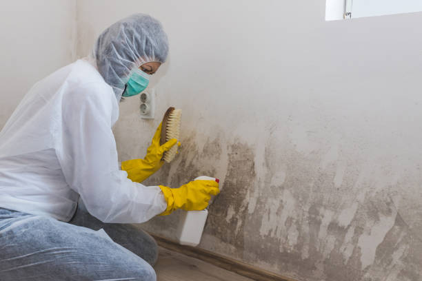 Best Crawl Space Mold Removal  in Heeia, HI